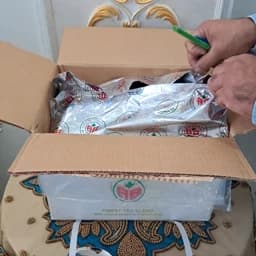 چای مراکشی اکبر اصل (سریلانکا) استوایی طعم میوه انبه و هلو — تصویر ۳