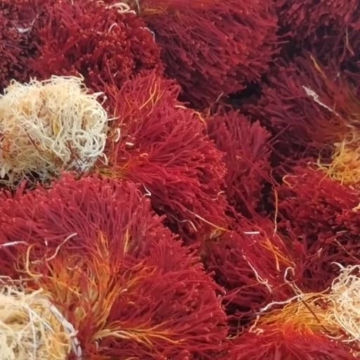 زعفران یک مثقال دسته (دختر پیچ ) — تصویر ۲