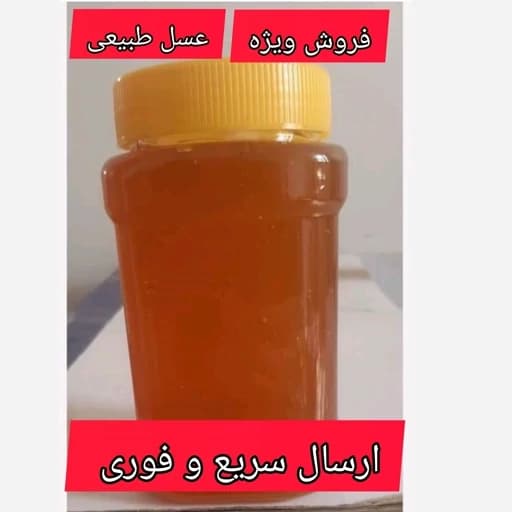عسل طبیعی جنگلی خان چوبان( یک کیلویی )(برداشت جدید)