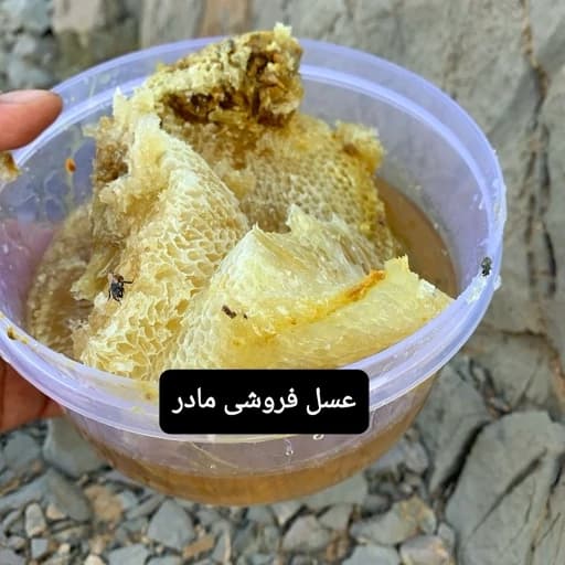 عسل وحشی صخره(عسل فروشی مادر )