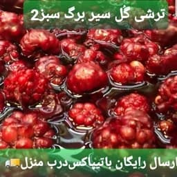 ترشی گل سیر رودبار (1.5 کیلویی) — تصویر ۳