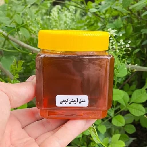 عسل آویشن کوهی ساکارز زیر 2 و پرولین بالای 900 (نیم کیلویی) — تصویر ۴