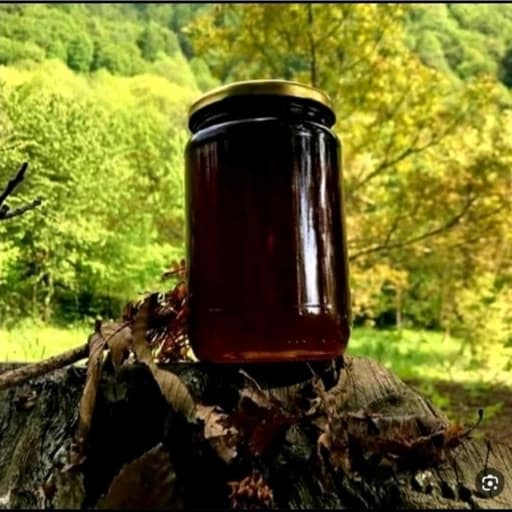 عسل طبیعی سیاه دانه (فراورده های طبیعی ایلیا )