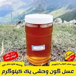 عسل گون در حد وحشی کردستان 1 کیلویی(مستقیم از زنبوردار)ارسال رایگان — تصویر ۳