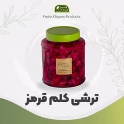 ترشی کلم قرمز ممتاز فدک — تصویر ۳