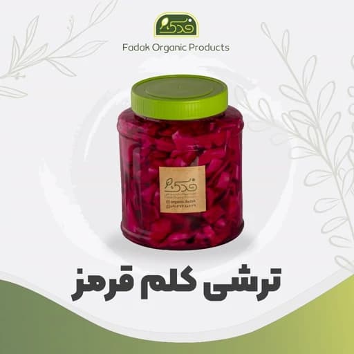 ترشی کلم قرمز ممتاز فدک — تصویر ۲