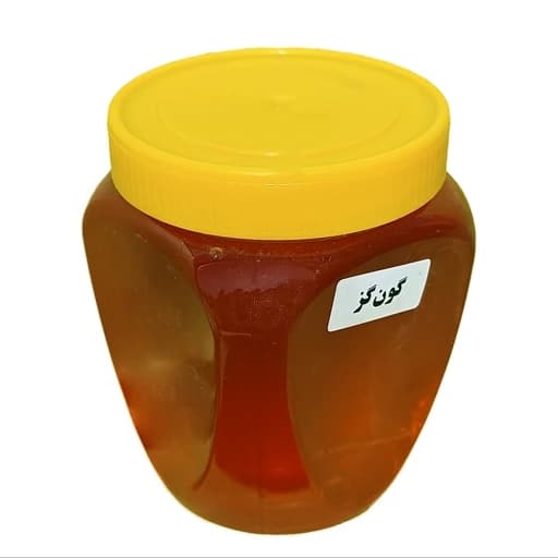 عسل گون گز طبیعی فدک (1کیلو)