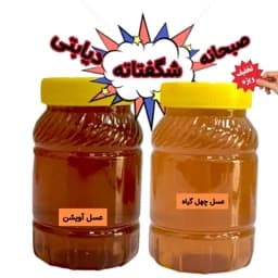 عسل طبیعی ساکارز زیر یک درصد دیابتی و عسل صبحانه ارسال رایگان — تصویر ۵