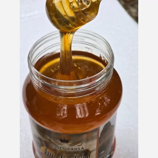 عسل گون کوهرنگ(1کیلو گرمی)