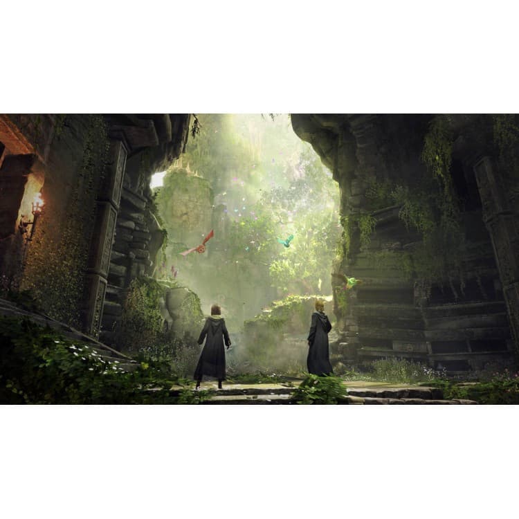 بازی Hogwarts Legacy مخصوص PS5 — تصویر ۳
