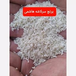 برنج سر لاشه هاشمی گیلان — تصویر ۵