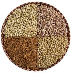 اجیل چهار مغز خام پک ( مقدار مساوی) 500 گرم — تصویر ۳
