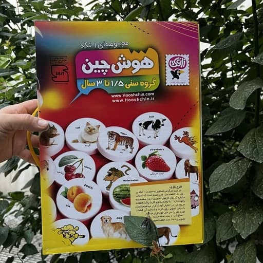 اسباب بازی هوش چین مجموعه یک تکه مناسب تقویت هوش و افزایش واژگان کودک +15 ماه — تصویر ۲