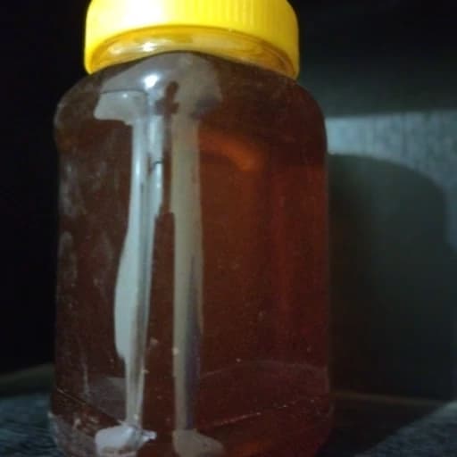 عسل چند گل . طبیعی . یک کیلویی — تصویر ۲