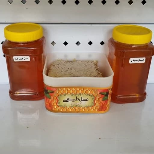 عسل های صبحانه( یک کیلو عسل سبلان، یک کیلو عسل چهل گیاه، یک کیلو عسل باموم چهل گیاه) خرید مستقیم از زنبوردار