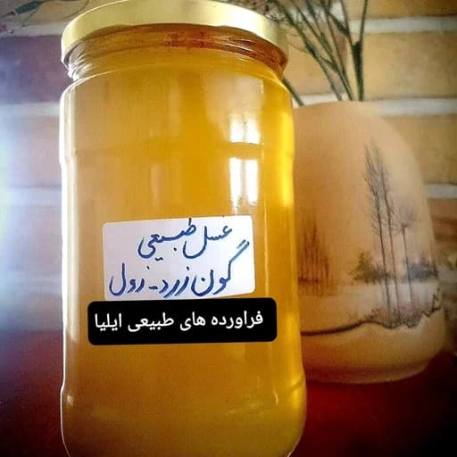عسل طبیعی گون زرد( فراورده های طبیعی ایلیا ) — تصویر ۲