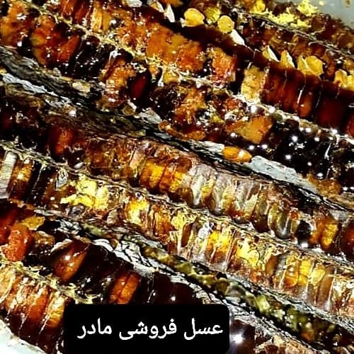 عسل طبیعی گرده دار(عسل فروشی مادر ) — تصویر ۲