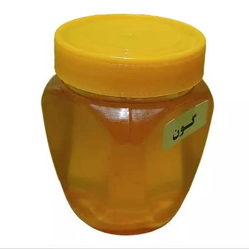 عسل گون طبیعی فدک (500گرم) — تصویر ۲