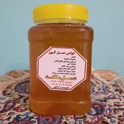 عسل گون طبیعی 1 کیلویی(مستقیم از زنبوردار) — تصویر ۳