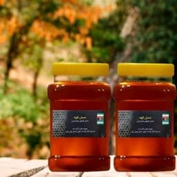 عسل طبیعی جنگلی دو کیلویی(ارسال رایگان)(مستقیم از زنبوردار)(با برگه آزمایشگاه) — تصویر ۳