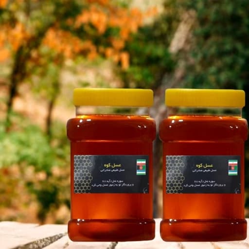 عسل طبیعی جنگلی دو کیلویی(ارسال رایگان)(مستقیم از زنبوردار)(با برگه آزمایشگاه) — تصویر ۲