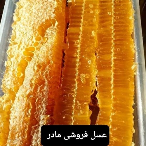 عسل طبیعی ریحان مومدار(عسل فروشی مادر )