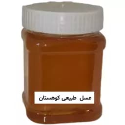عسل طبیعی کوهستان (نیم کیلویی) خرید از زنبوردار — تصویر ۳