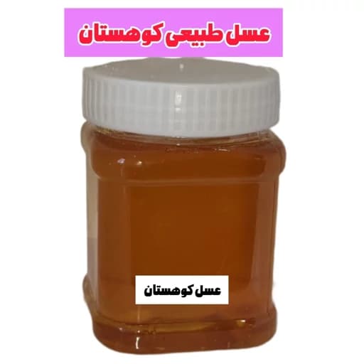 عسل طبیعی کوهستان (نیم کیلویی) خرید از زنبوردار — تصویر ۴