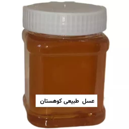 عسل طبیعی کوهستان (نیم کیلویی) خرید از زنبوردار — تصویر ۲