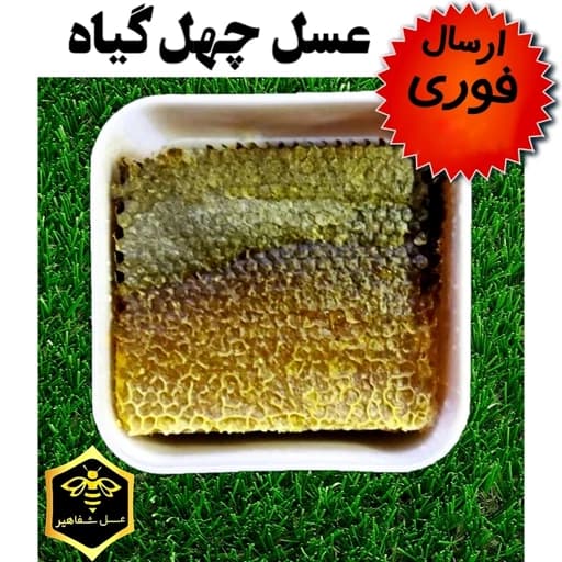 عسل چهل گیاه باموم شفاهیر(900 گرم)(ارسال فوری)(خرید مستقیم از زنبوردار)(ارسال فوری)