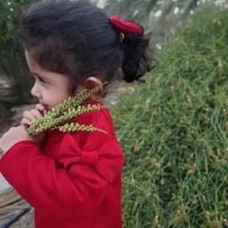 لباس پاییزه کودک.لباس دخترانه .لباس کودک.سی ماه — تصویر ۳