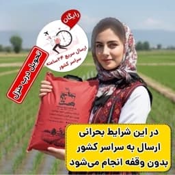 برنج طارم هاشمی معطر فریدونکنار (5و10کیلویی) — تصویر ۳