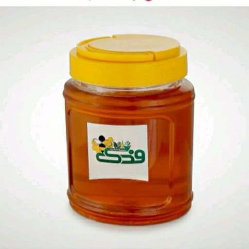 عسل گون 5ستاره فدک (1 کیلو)