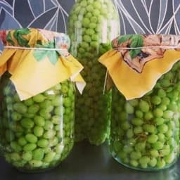 ترشی غوره 1500گرمی — تصویر ۳
