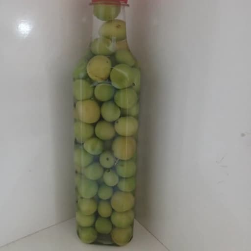 ترشی آلوچه جنگلی ترش 500گ — تصویر ۲