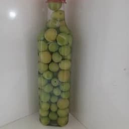 ترشی آلوچه جنگلی ترش 500گ — تصویر ۳