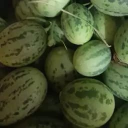ترشی ابوجهل (2200گرمی) — تصویر ۳