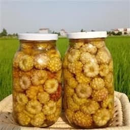 ترشی گل سیر،500 گرمی،گیلان.رشت — تصویر ۳