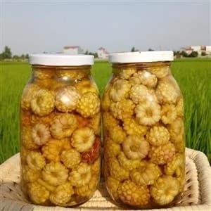 ترشی گل سیر،500 گرمی،گیلان.رشت
