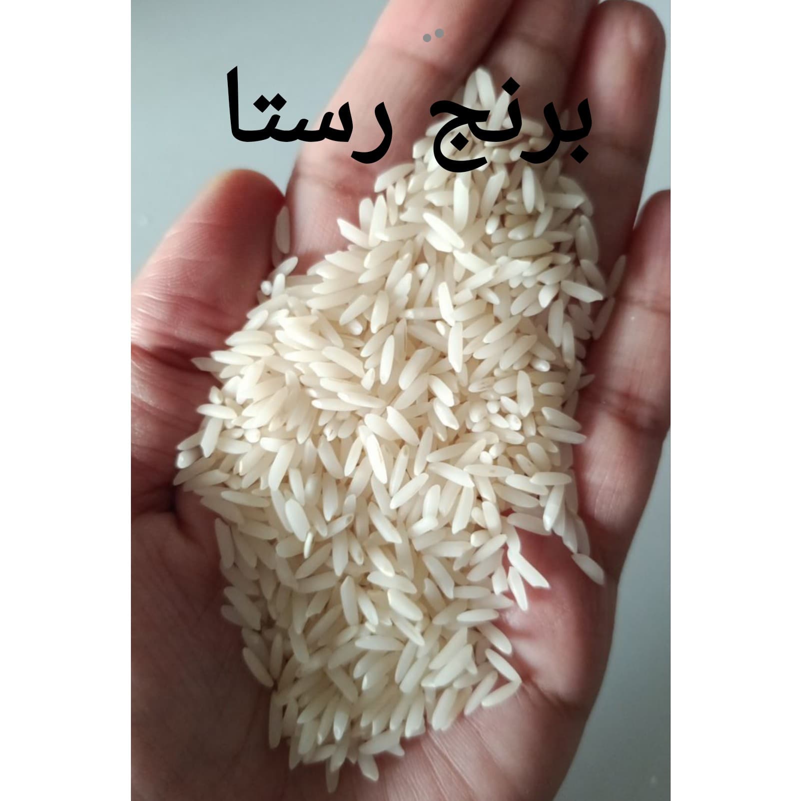 برنج طارم هاشمی امساله (5 کیلویی) — تصویر ۲