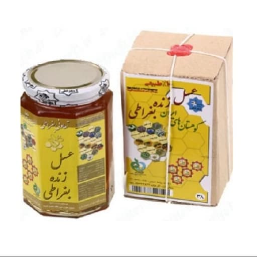عسل طبیعی 5 ستاره بغراطی (یک کیلوگرم خالص)برند قدیم روازاده — تصویر ۲