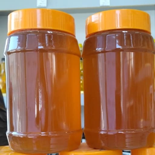 عسل گون گز طبیعی درجه یک 1000 گرمی. یک بسته یک کیلویی — تصویر ۲