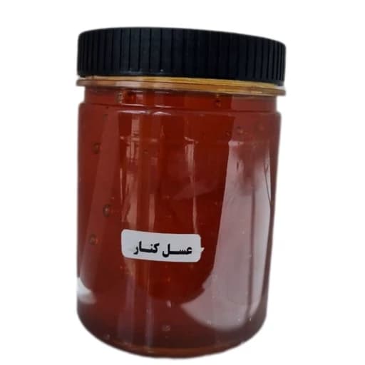 عسل طبیعی کنار (یک کیلویی) خرید مستقیم از زنبوردار
