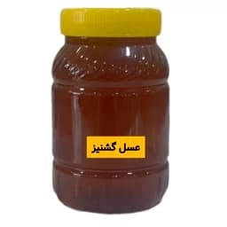 عسل طبیعی گشنیز ساکارز زیر دو ارسال رایگان خرید از زنبوردار — تصویر ۳