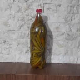 ترشی فلفل سبز تند 1500 گرمی — تصویر ۳
