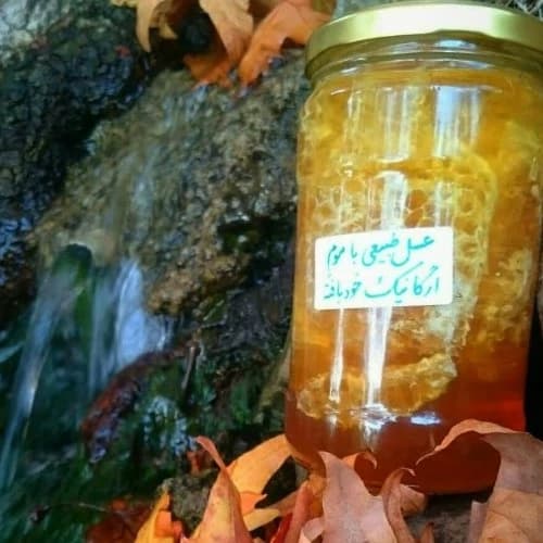 عسلی جنگلی 1 کیلویی(عسل فروشی خزر)