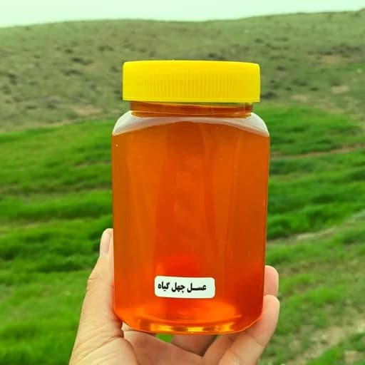 عسل طبیعی چهل گیاه خوشمزه خرید مستقیم از زنبورستان (850 گرمی)