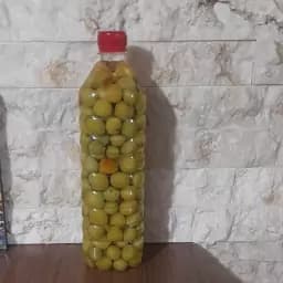ترشی الوچه جنگلی (500گرمی) — تصویر ۳