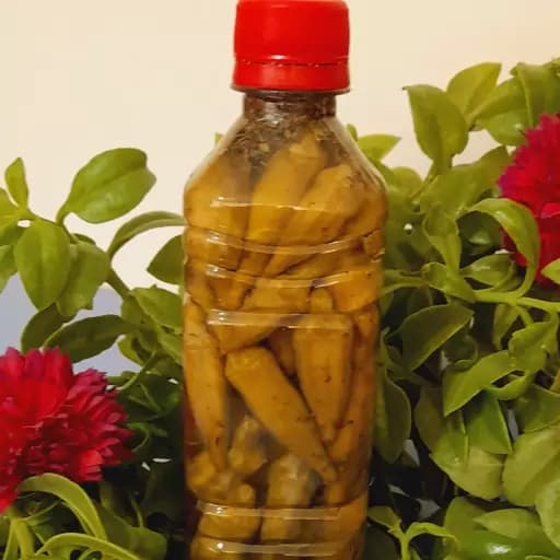 ترشی بامیه خونگی وزن با بسته بندی(450)گرم — تصویر ۲