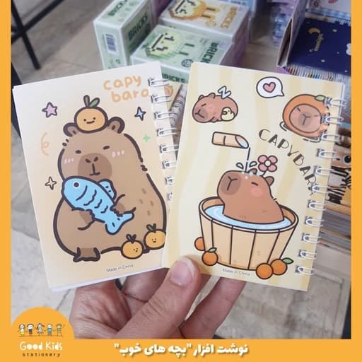 دفترچه یادداشت سیمی فانتزی حاشیه دار طرح کاپی بارا